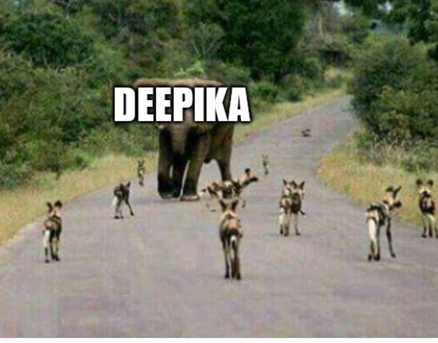 SIFFspokespers1's tweet photo. I hope you must have heard this saying @DeepikaBhardwaj they can't be like you so they bark ! https://t.co/6FiTCcxaM6