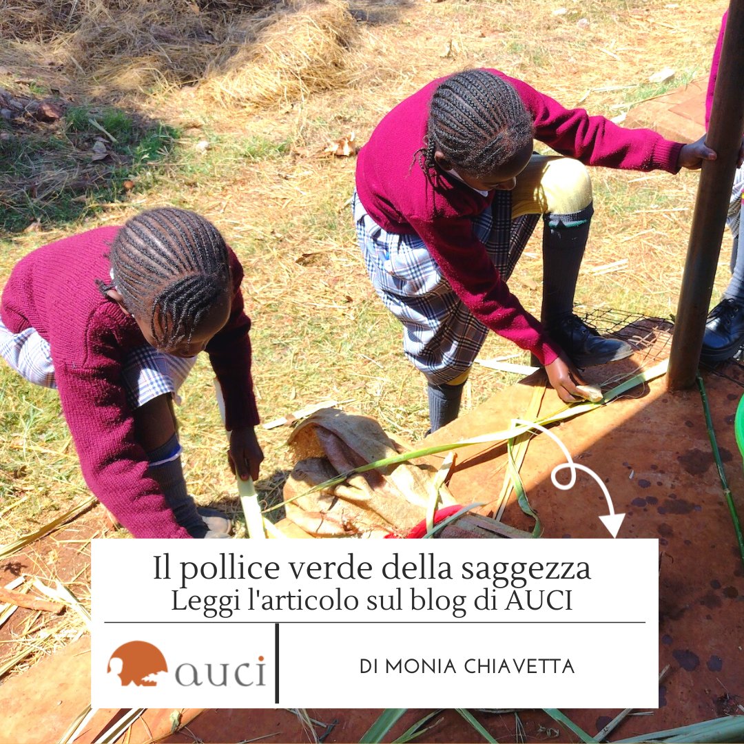 Il pollice verde della saggezza
di Monia Chiavetta sul blog di AUCI!
👉bit.ly/3ryFxq4

#auci #serviziocivile #volontario #mondo #kenya  #salute #giustizia #ospedale #diritti #estero #cooperazione #caschibianchi #valori #giovani #africa #meru #scu #SCU2022 #scuola