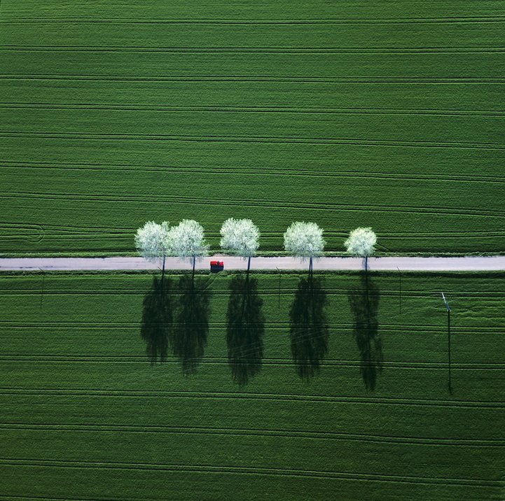 Alex00762690's tweet photo. Red Car with Five Flowering Trees ...

© Klaus Leidorf https://t.co/4EZlC0QVUv