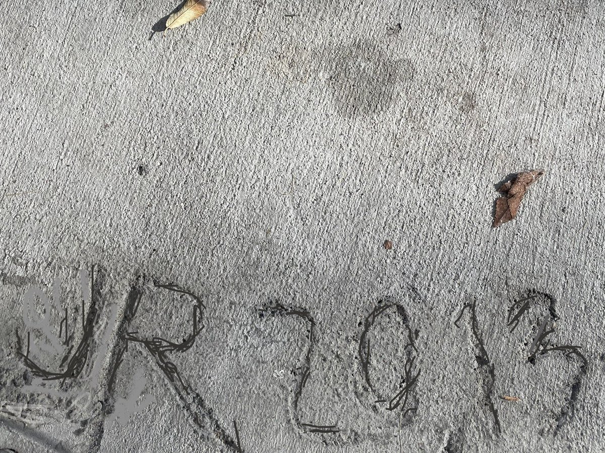 Christopher David Owens tweet media