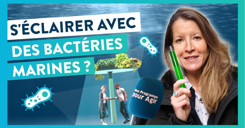 ENGIEpartFR's tweet photo. 💡 Connaissez-vous les lampes #bioluminescentes ?

✅ La #startup @weloveglowee innove en matière d'éclairage urbain grâce à des bactéries marines luminescentes 🦠

📺 Pour comprendre comment on peut “s'éclairer grâce à la mer” RDV sur notre chaîne Youtube #JAgisAvecENGIE ⤵