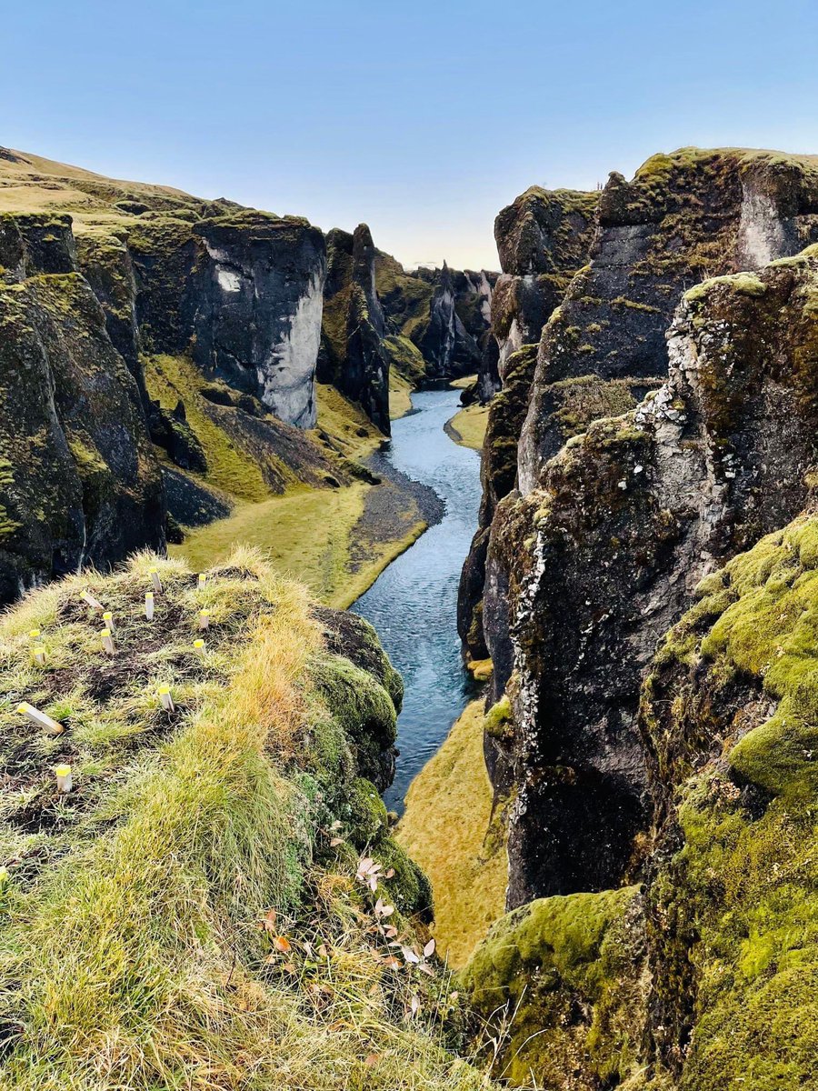 🔵Ahir es van entregar els premis del 9è concurs de fotografia Minerva Expressa’t, que organitza <a href="/HospCampdevanol/">F. Hospital de Campdevànol</a> entre els treballadors/es 📸

🥇Clàudia Casals 
🥈Natàlia Soler
🥉Octavi Bosch

📆 Les imatges serveixen per il·lustrar el calendari de <a href="/HospCampdevanol/">F. Hospital de Campdevànol</a>