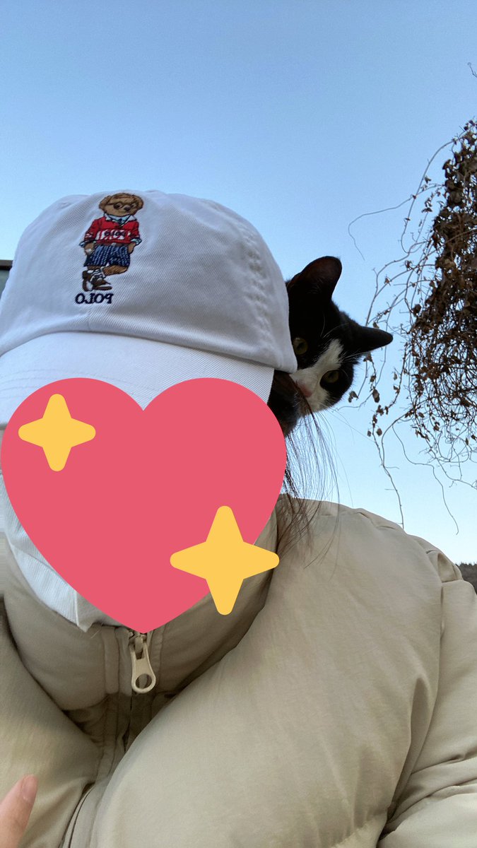yadymedamuoy's tweet photo. 아니 진짜 어이없네 길에서 신발끈 묶는데 지나가는 고양이가 내 등에 올라옴 https://t.co/ECeobLWfe3