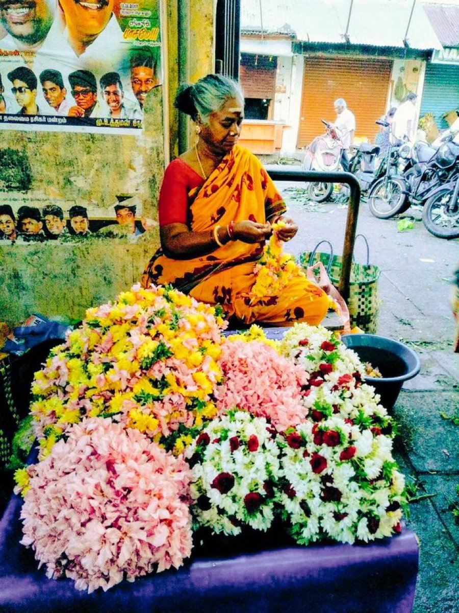 Цветы на индийском языке. Цветы Индии. Растения Индии. Красивые индийские цветы. Индия традиционный цветок.