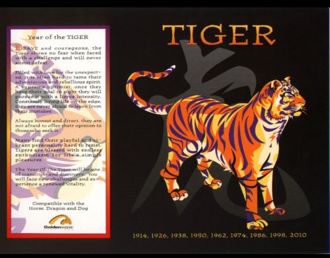 Тигр какой гороскоп. Год тигра характеристика. Тигр гороскоп. Восточный гороскоп тигр. Тигр Зодиак год.