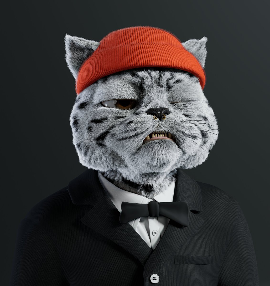 youngmols's tweet photo. @KittyCryptoGang speaking of look a like... https://t.co/oBc2ZiU6rf