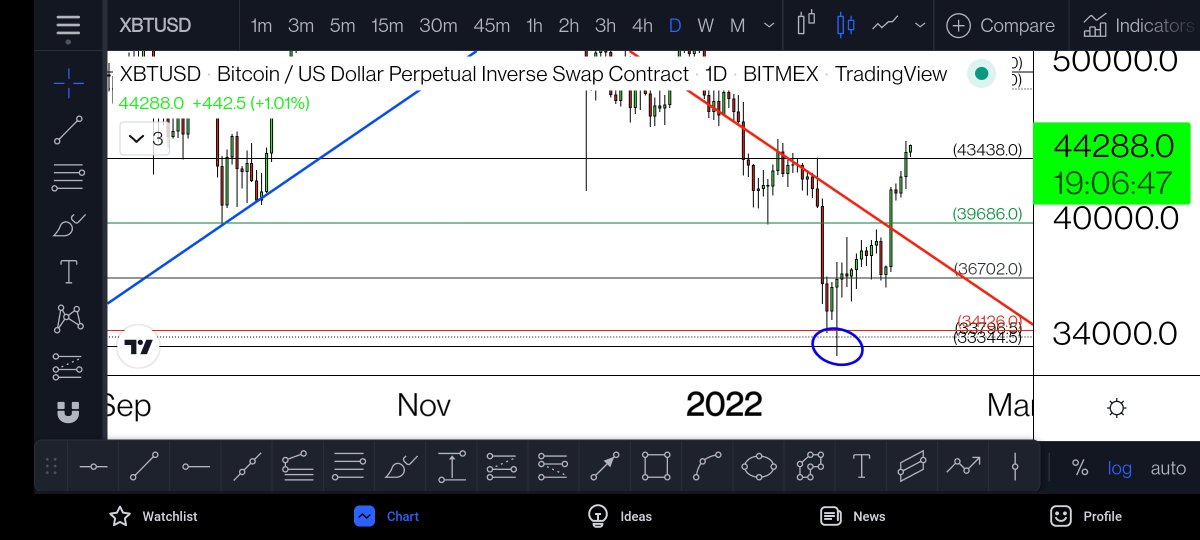 inversebraw's tweet photo. $btc $xbt $nft

Bitscoinz iz oke? https://t.co/toKB10VVpv