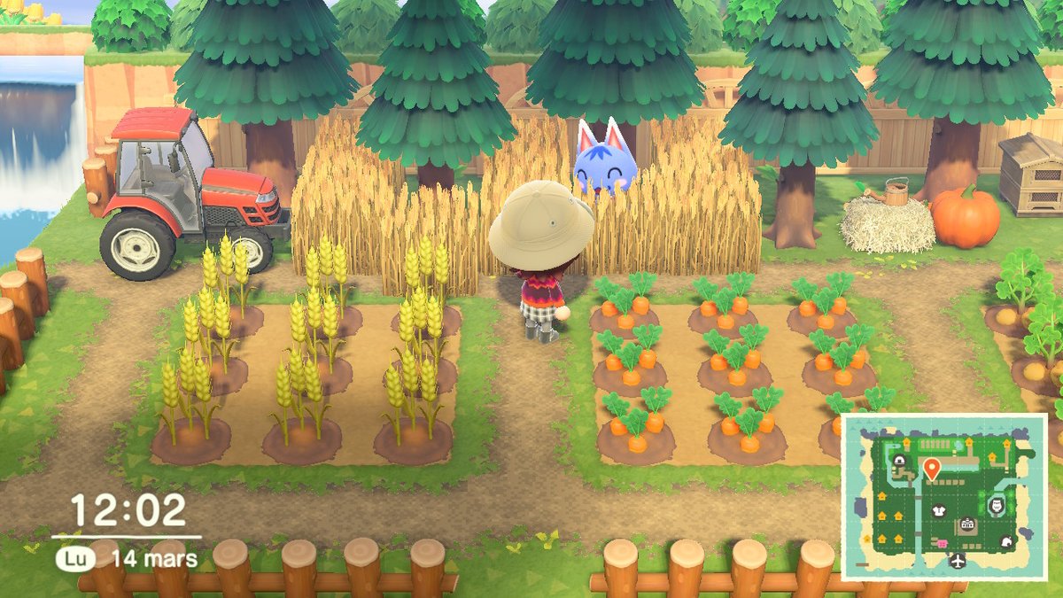 MissSoSoMk's tweet photo. why not #AnimalCrossing #ACNH #NintendoSwitch https://t.co/6hvtPO077a