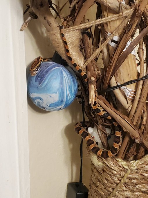 Handsome Boy https://t.co/oxClyuYmLe