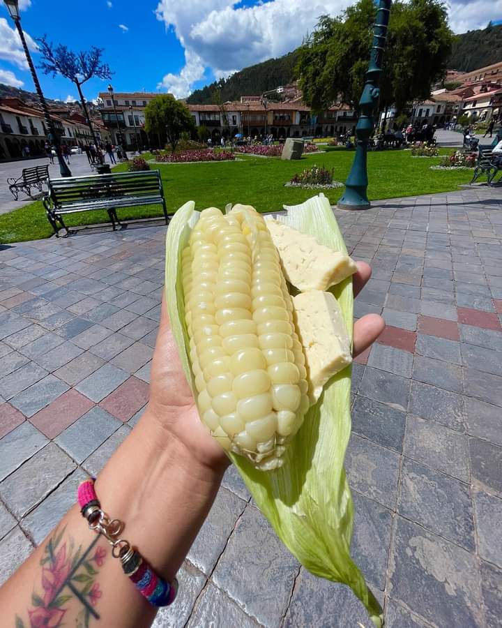 Salud_en_casa1's tweet photo. Tanto comentan del choclo que recomienda comer Josie Diez Canseco , ya nos dio hambre de uno cusqueño con su rico quesito . https://t.co/GqcTARXbFJ