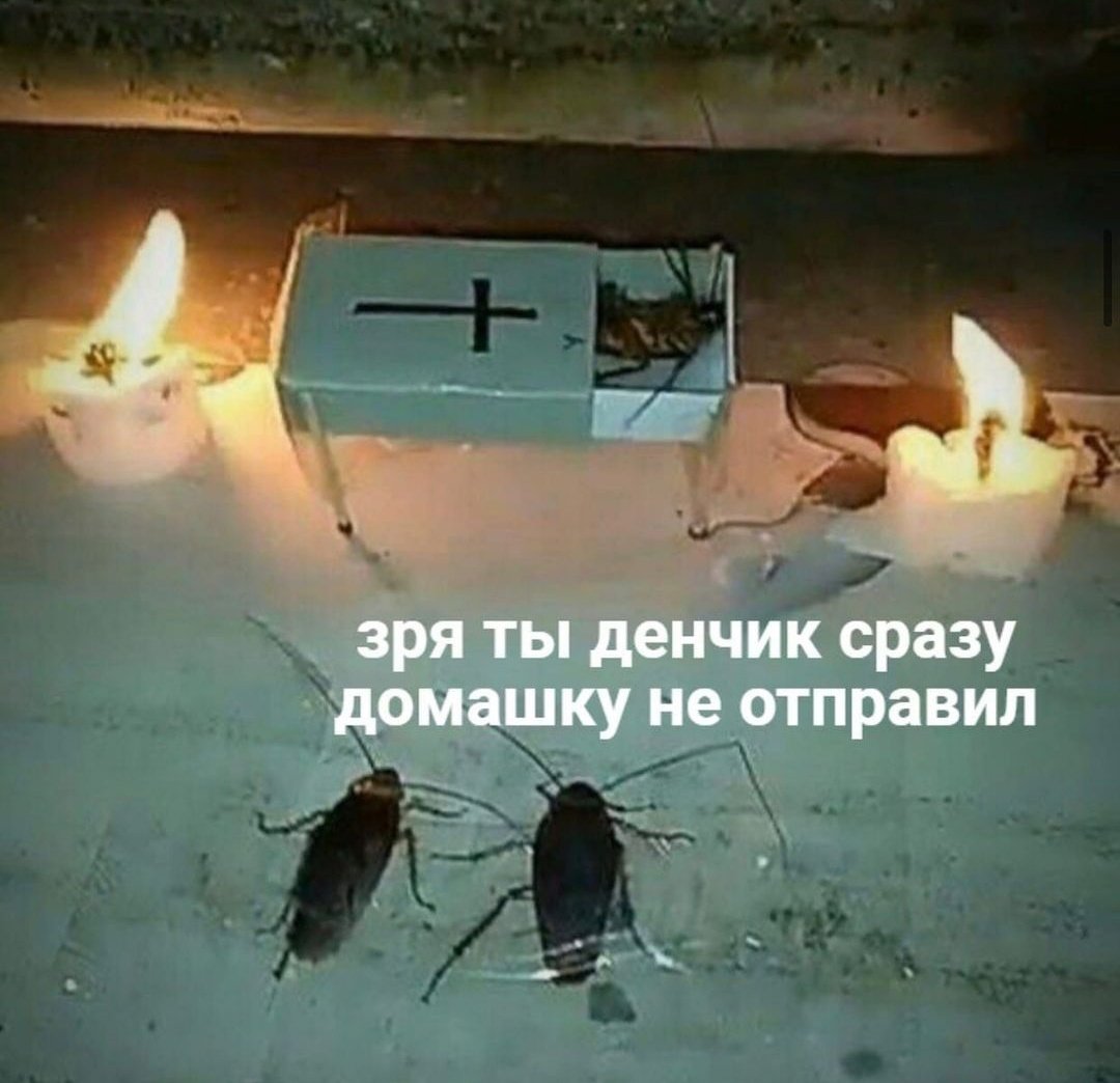 Dagmor_DG's tweet photo. @norieIla Ты как всегда жестока. https://t.co/VCqlmZ8WVh