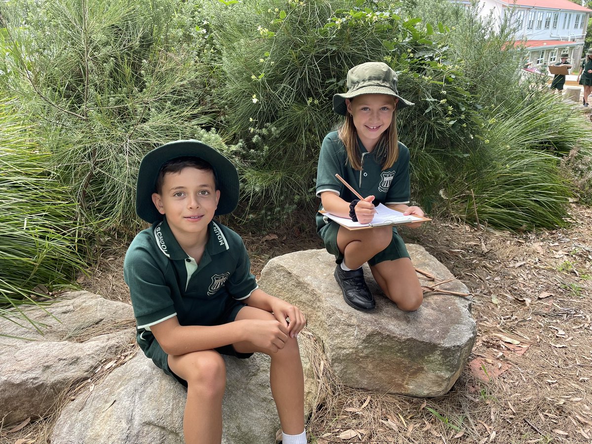 3/4 Rise! tweet media