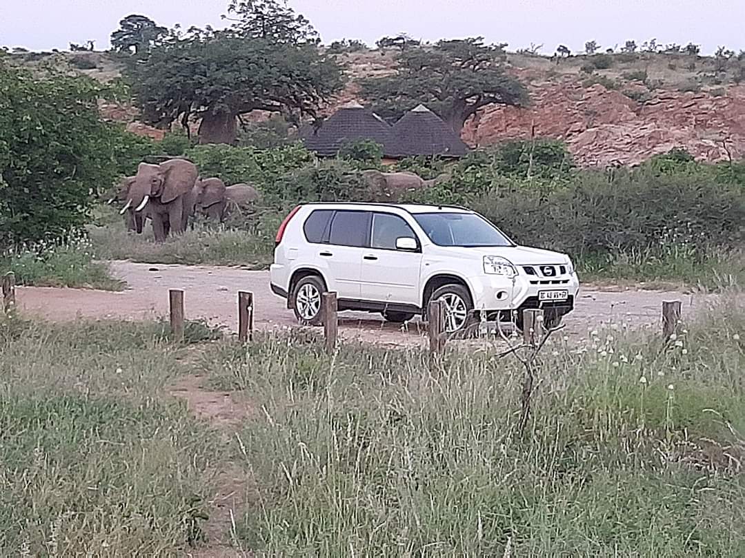 golimpopo's tweet photo. 📍 Leokwe Restcamp. 
 
@Mapungubwe_NP and World Heritage Site is the ideal location for anyone interested in wildlife and birds, to those in search of serenity, identity, and the extraordinary history of this Park.

#GoLimpopo 
#MoreToEnjoy 
📷 Norman Lok https://t.co/OOfmZbD6GQ