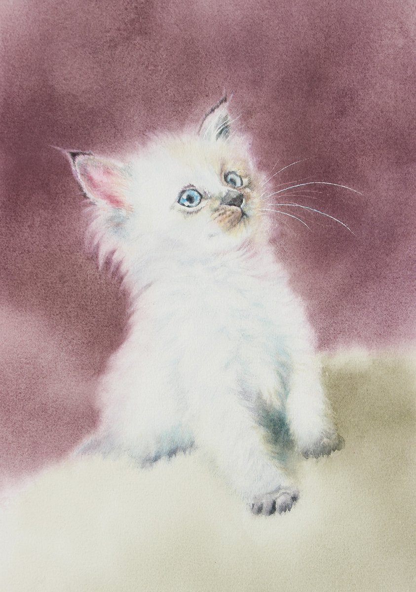 yu_grassbird's tweet photo. 「猫・ねこ・ネコ展」出品作品 May
#透明水彩 #watercolor #星野木綿 #art #透明水彩 #マスキング #jws #猫 #Watercolor #kitten #drawacat #保護猫 https://t.co/W9UIqNyqOA