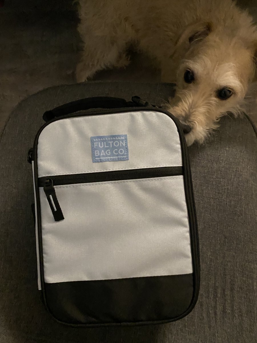 SkylerDunigan's tweet photo. Whiskey approves of my new lunch bag! #nose #snozz #lunch #bag #dog #Whiskey #furbaby #dogsoftwitter #food #somethinginside https://t.co/RUNcIcHUt7
