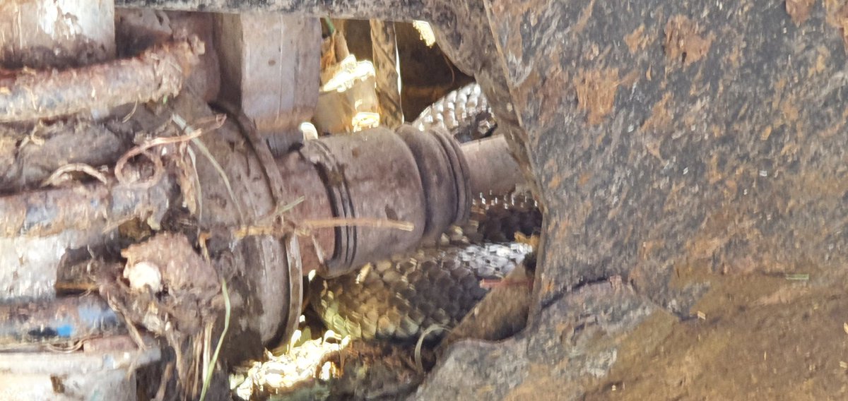 Brian Corr tweet media