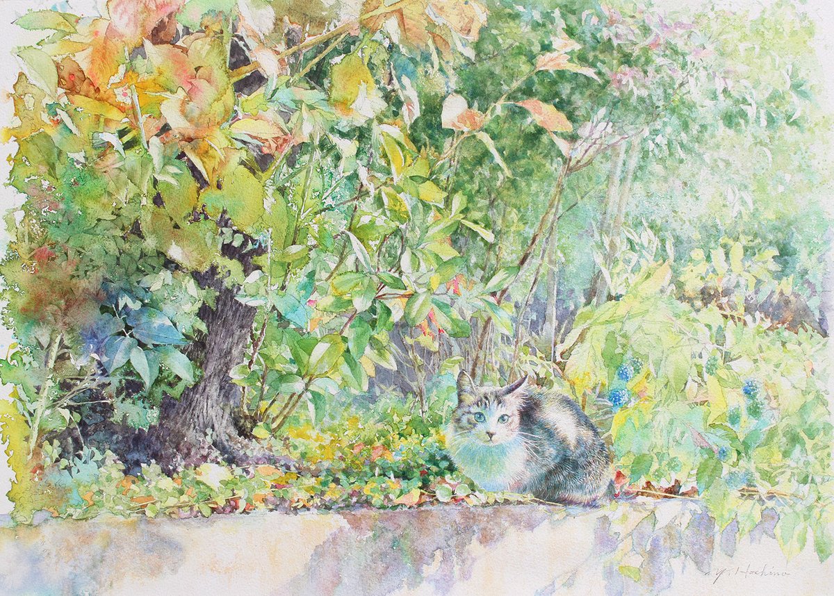 yu_grassbird's tweet photo. 「猫・ねこ・ネコ展」出品作品 日の当たる場所
大人になったFooを描きました。
#透明水彩 #watercolor #星野木綿 #art #透明水彩 #マスキング #jws #猫 #Watercolor #kitten #drawacat #保護猫 https://t.co/jcLEbXKl1j