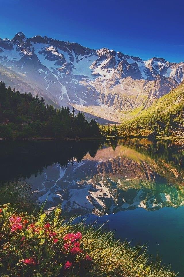 cerisier_Rev's tweet photo. Good morning dear friends. Have a wonderful day, and take care!💙 https://t.co/nB8DRlSa51