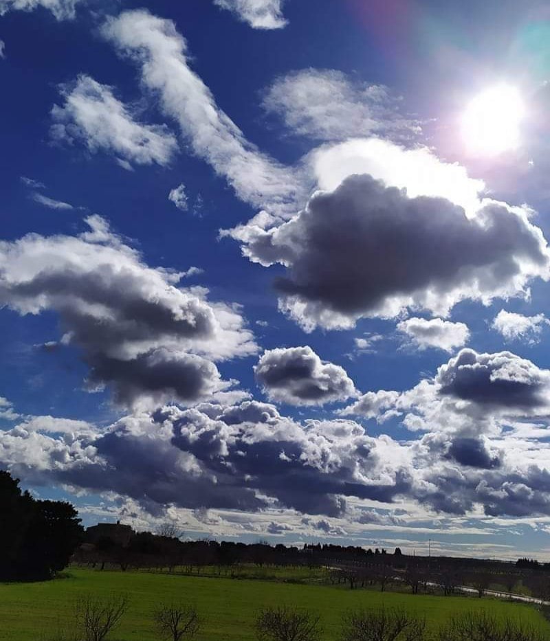 sorridicncausa's tweet photo. Chissà se il cielo se ne accorge 
che sulla terra, gli uomini sono 
troppo deboli, per avvenimenti
molto forti.

Buona giornata a tutti❤️

#8febbraio #VentagliDiParole
#CondominioDiScrivoArte

📸__Mia__ https://t.co/c3JcQpSrvV
