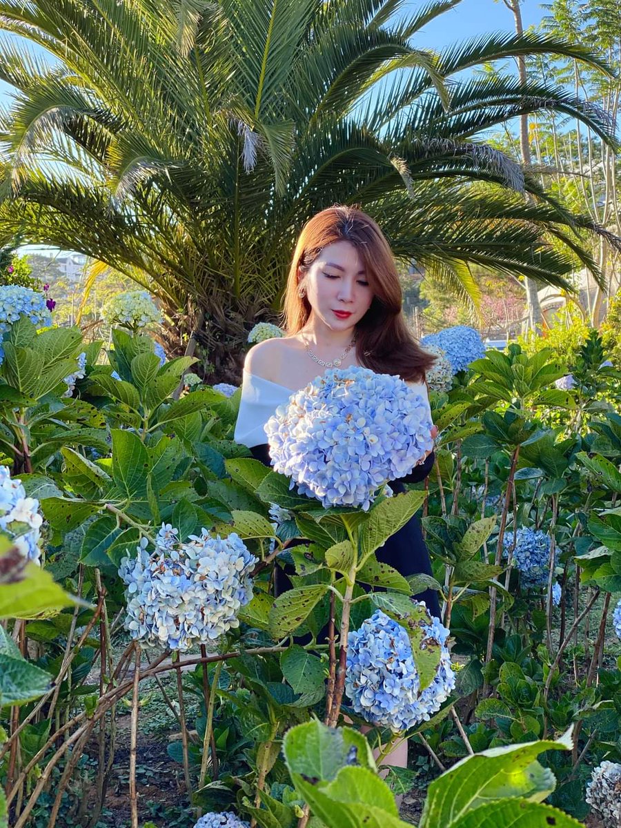 QuangDoThe2's tweet photo. Tết này vẫn giống tết xưa
Vẫn là em bé, vẫn ưa lì xì https://t.co/25jcSXGudo