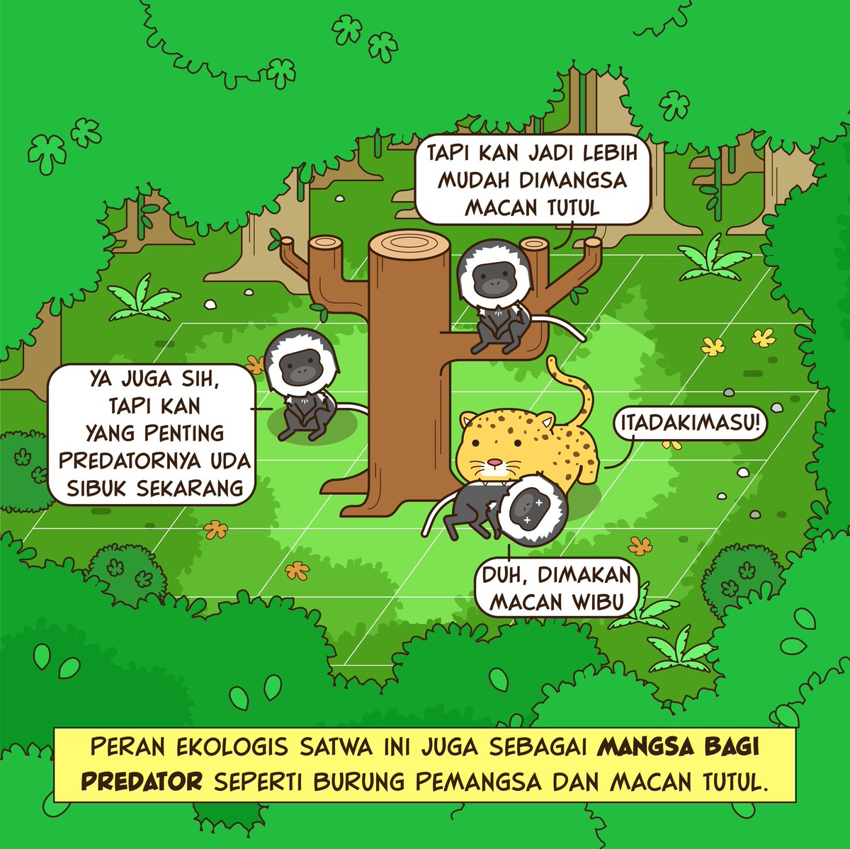 shirohyde's tweet photo. masih #OldWorldMonkey https://t.co/ljZxHG6TNp