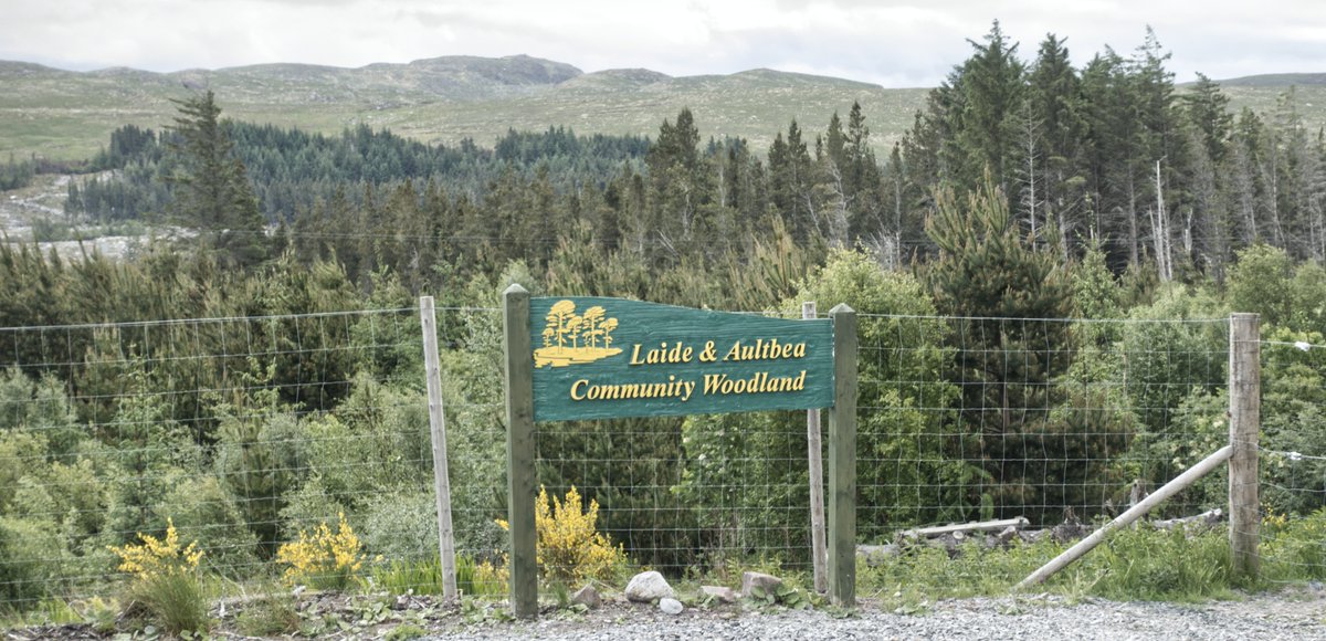 "Community woods are much more than places to visit. They are the heartbeat of local areas, where armies of volunteers lay paths or plant trees, build and install benches &amp; bird hides, clear rubbish or monitor wildlife." Angela Douglas in <a href="/TheScotsman/">The Scotsman</a> bit.ly/3GAKgvR