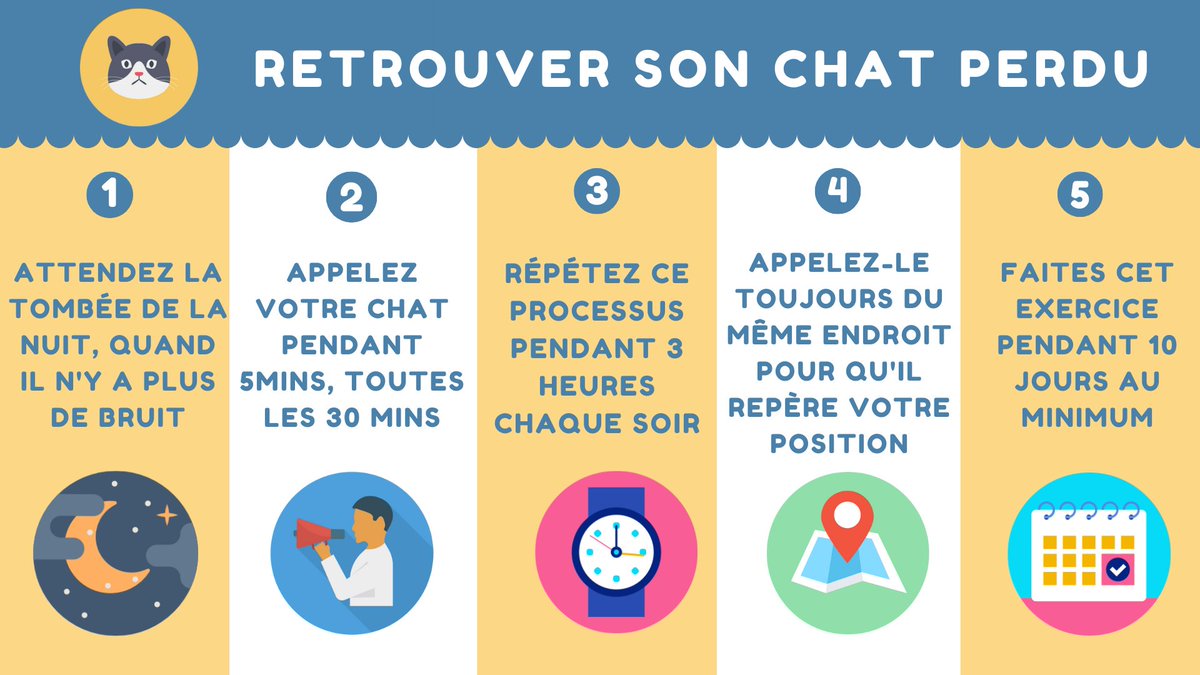 PetZoneCorp's tweet photo. Quelques conseils pour retrouver votre #chat perdu 😻 Prenez soin de vos #animaux 👉 https://t.co/NkpeK6Nsf5 https://t.co/RERwPf2a0R