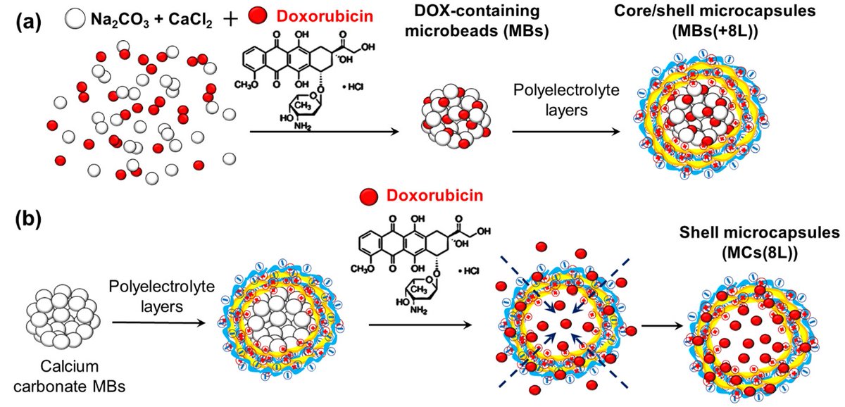 Employees of the Laboratory of Nano-Bioengineering (LNBE) of the MEPhI, together with colleagues from other universities, have developed a drug delivery system based on fluorescent microcapsules for the diagnosis and treatment of cancer.
mdpi.com/2079-4991/11/1…