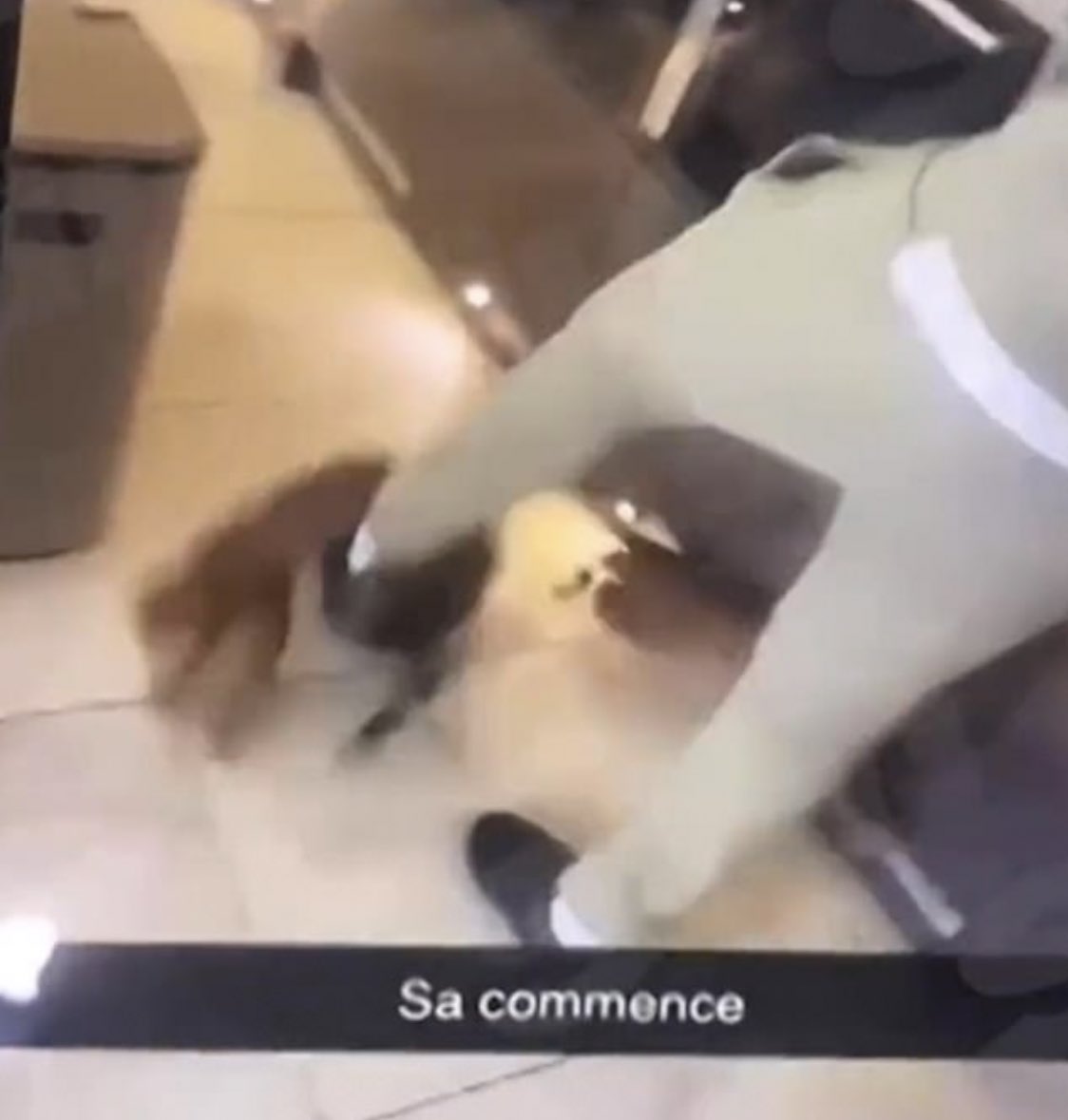 Тимур Журавель tweet media