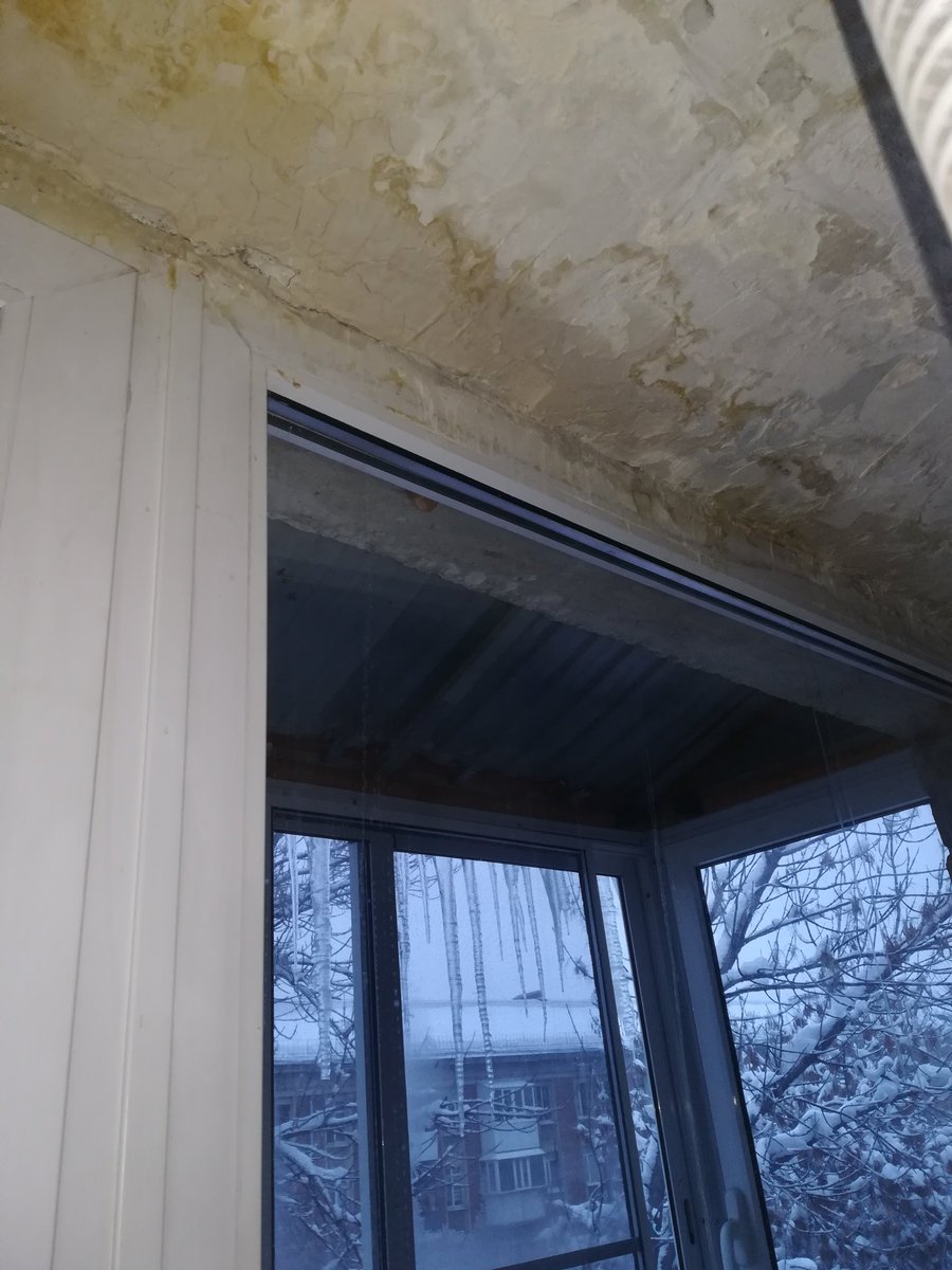 Светлана Дудник tweet media