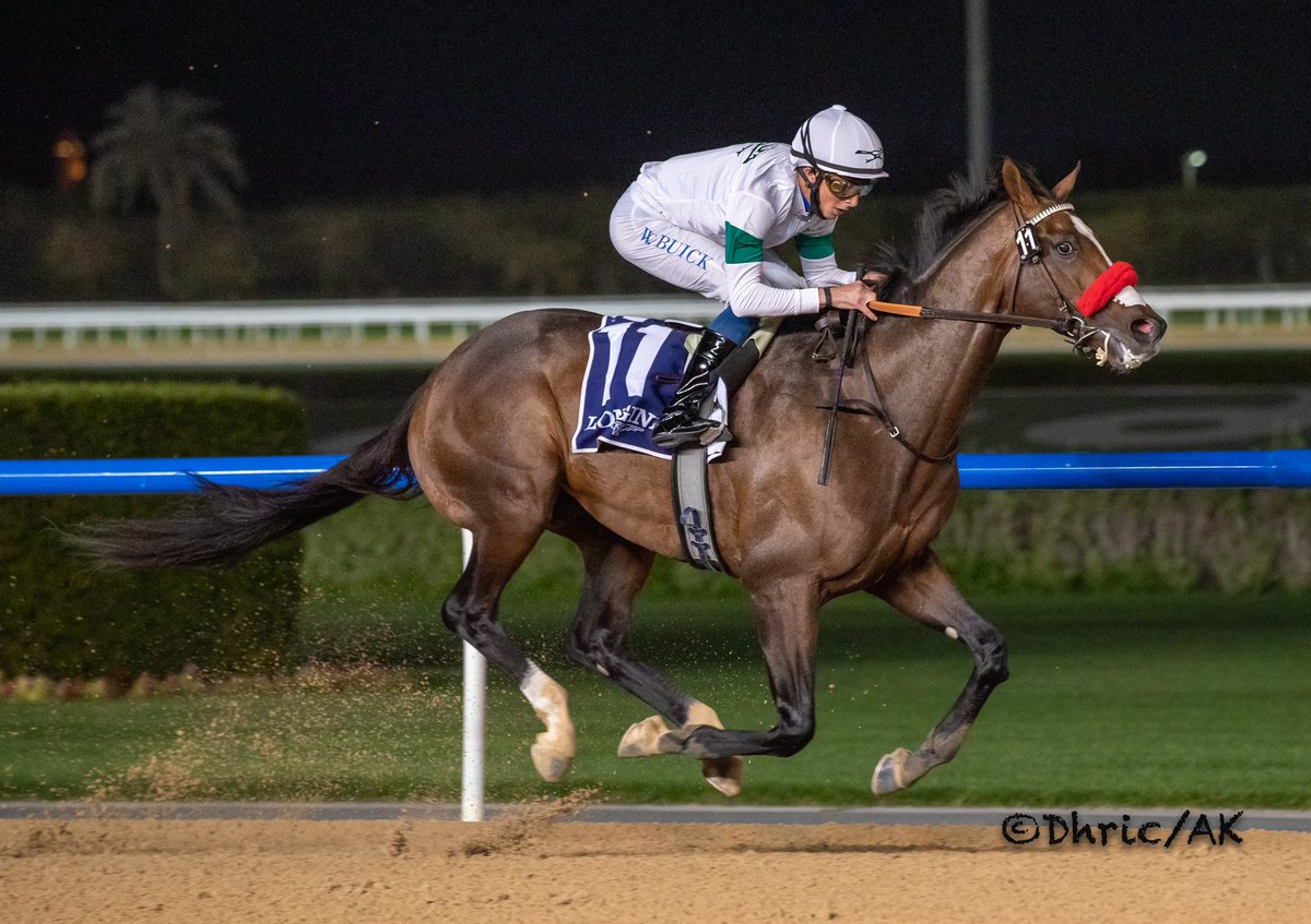 DubaiRacingTV's tweet photo. 6pm tonight for #PastThePost, looking back at all 4๏ธโฃ UAE meetings, including #DWCCarnival, @RacingDubai @ADECOfficial and @aesgc. https://t.co/xtFPEgwaXv