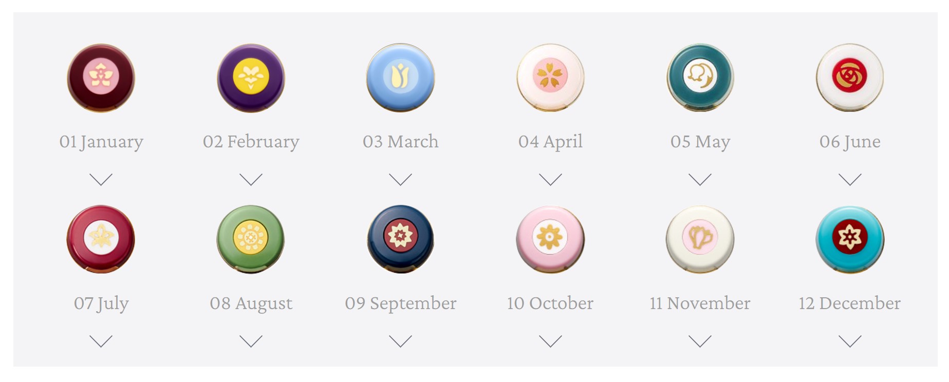 Twitter এ プラス Plus Stationery アンコーラ の 誕生石 誕生花 の万年筆 が1月 12月まで揃ったわけなのですが こうやって 蓋栓 を並べると 家紋 みたいでかっこいいでござる T Co Zfab1ccqln T Co 8szlrwqcrq ট ইট র