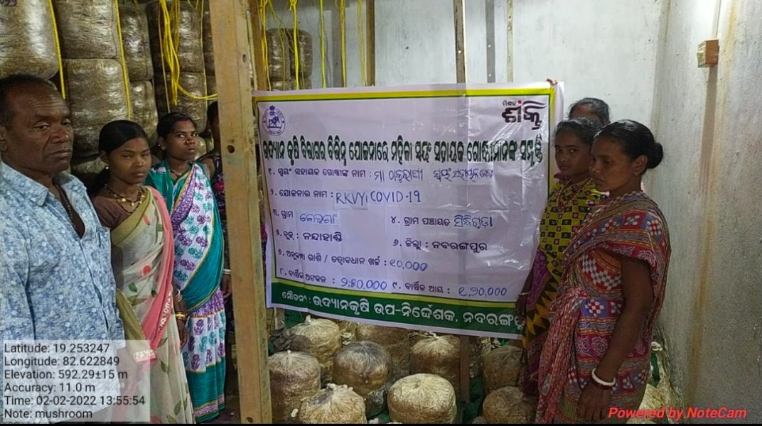 Horticulture67n's tweet photo. Maa thakurani women self help group of Nandahandi block functioning since 7-5-2018.this SHG has the annual turn over of Rs 2,50,000. With an annual income of Rs. 1,20,000. (RKVY COVID-19) 🍄 mushroom cultivation . Assistance provided of Rs 10,000 https://t.co/cDsbL7ojb8
