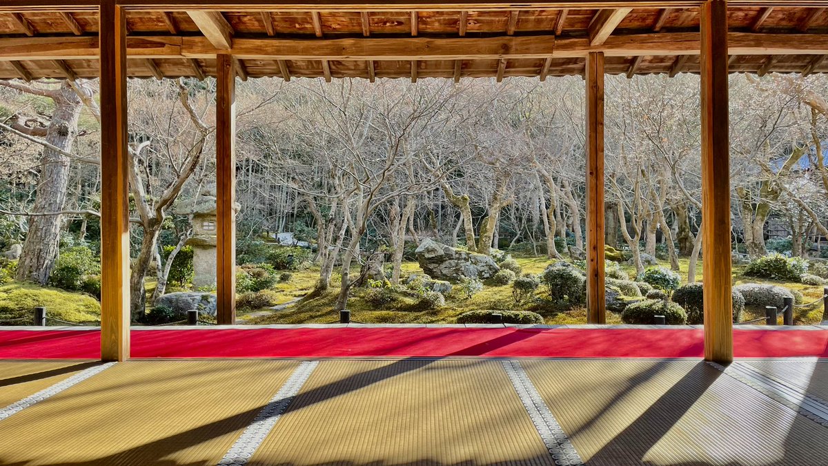 Flapy's tweet photo. Algunas fotitos de mi paseo por #Kioto del domingo. Estuve en dos templos del s.XVII el #Shisendo y el #Enkoji.

#圓光寺 #詩仙堂 #京都 #Kyoto #Japan

https://t.co/cDY1QdTe7D https://t.co/6WjydowM1J