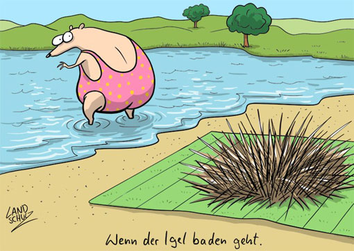 Graubart14's tweet photo. Guten Morgen, hoffentlich kam man ihn bald wieder sehen https://t.co/JjXXtLRx3C