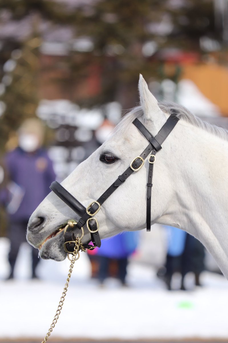 kurenai0722's tweet photo. レッドファルクス🐴

#レッドファルクス
#RedFalx https://t.co/wF3VDr404A