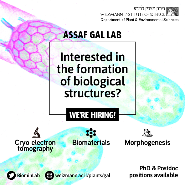 BiominLab's tweet photo. 🤚Fully-funded Postdoc and PhD positions available! Come and join us studying #biomineralization.👇👇👇 Send an email to apply.📧 Please RT.🙏 https://t.co/pVH8wquCLU