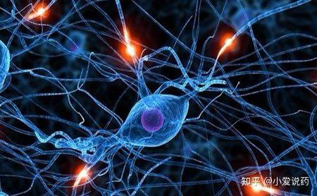 icebiosci's tweet image. 电生理服务|药物筛选服务|靶点筛选|膜片钳服务|中枢神经系统 
爱思益普建立了全面的中枢神经系统体外药理学研究平台。主要技术平台包括：
中枢神经系统离子通道药物筛选
止痛药/抗癫痫药/精神类药物/抗阿尔茨海默药离子通道为靶点的药物筛选
急性分离或培养的神经元的电生理学检测

#Targetvalidation