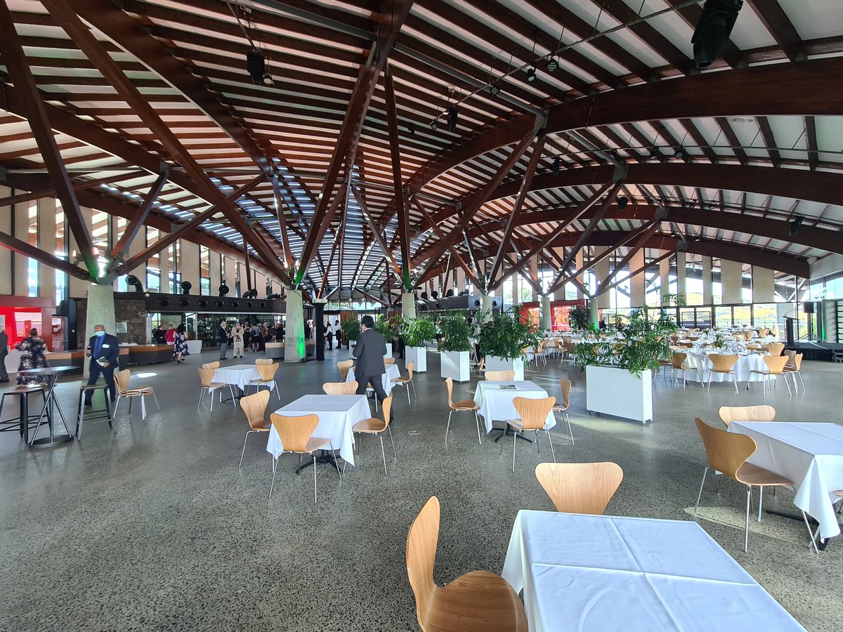 Damien Field tweet media