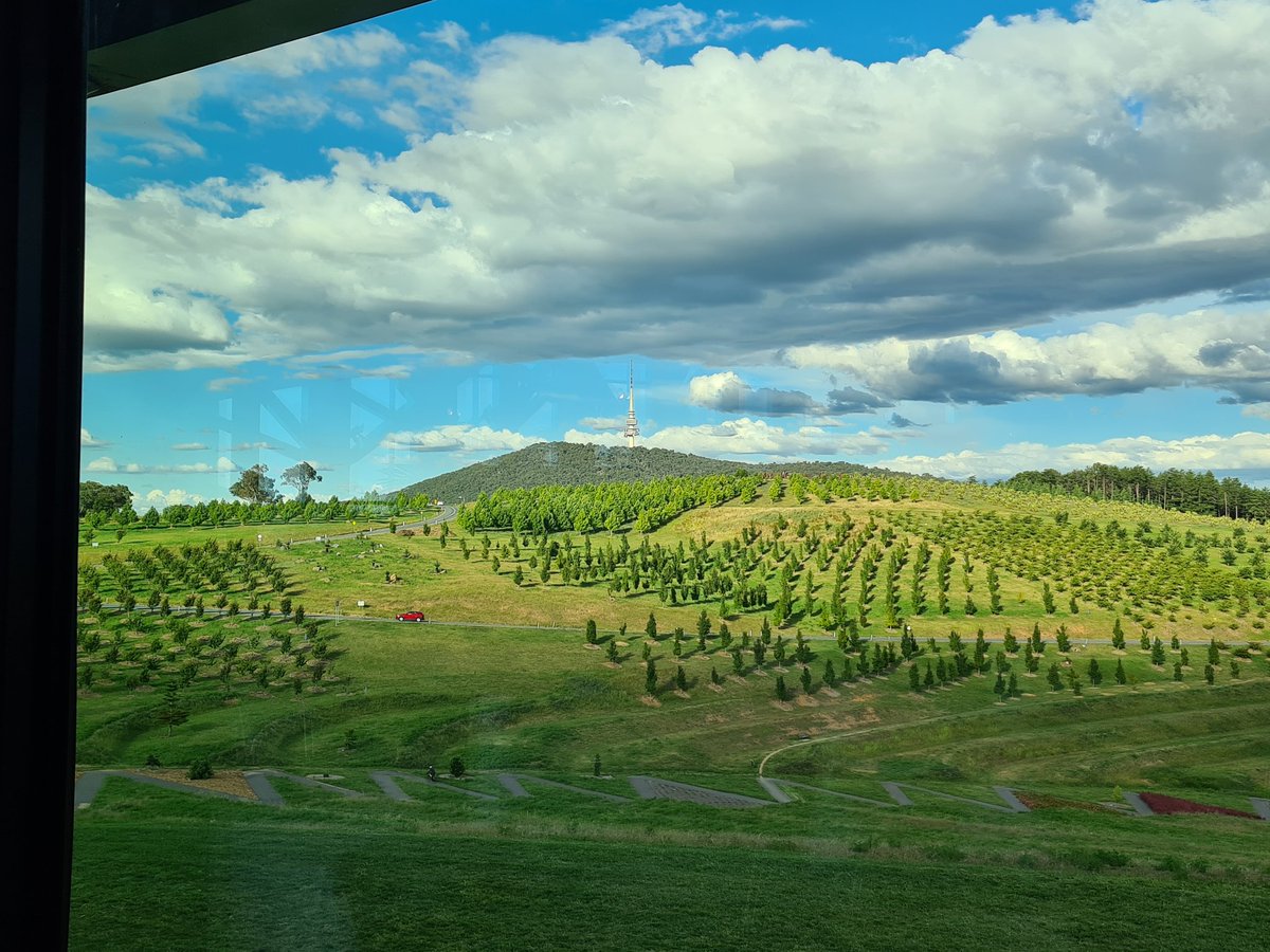 Damien Field tweet media