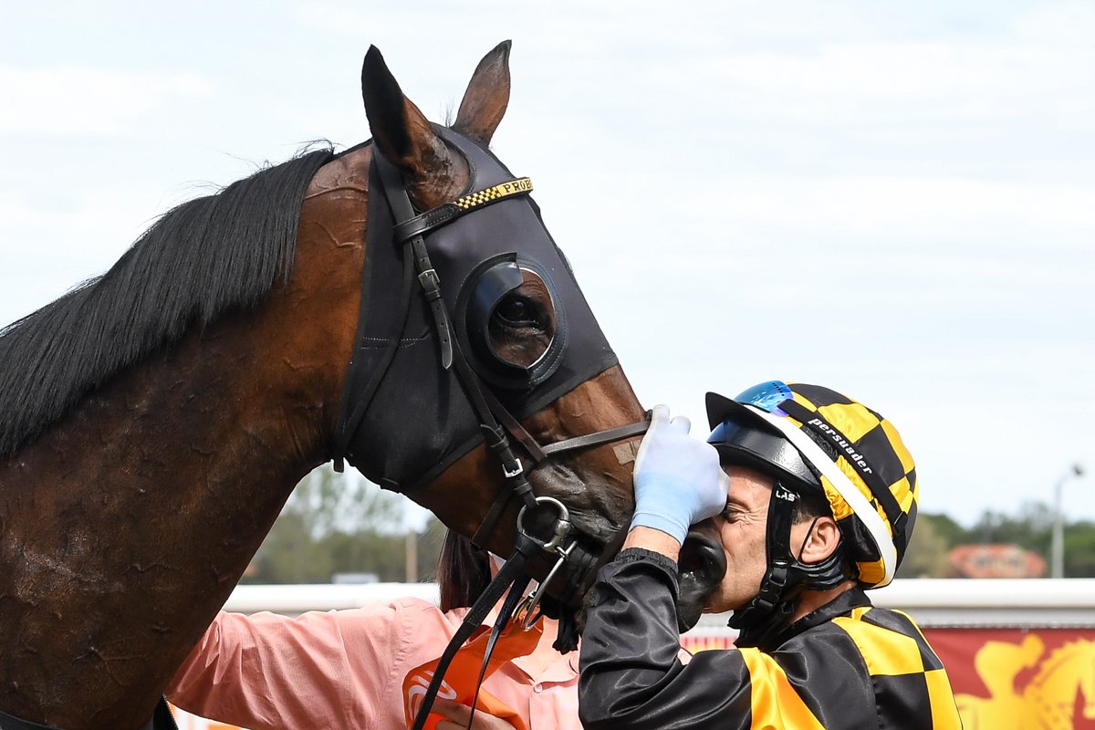 Festival of Racing tweet media