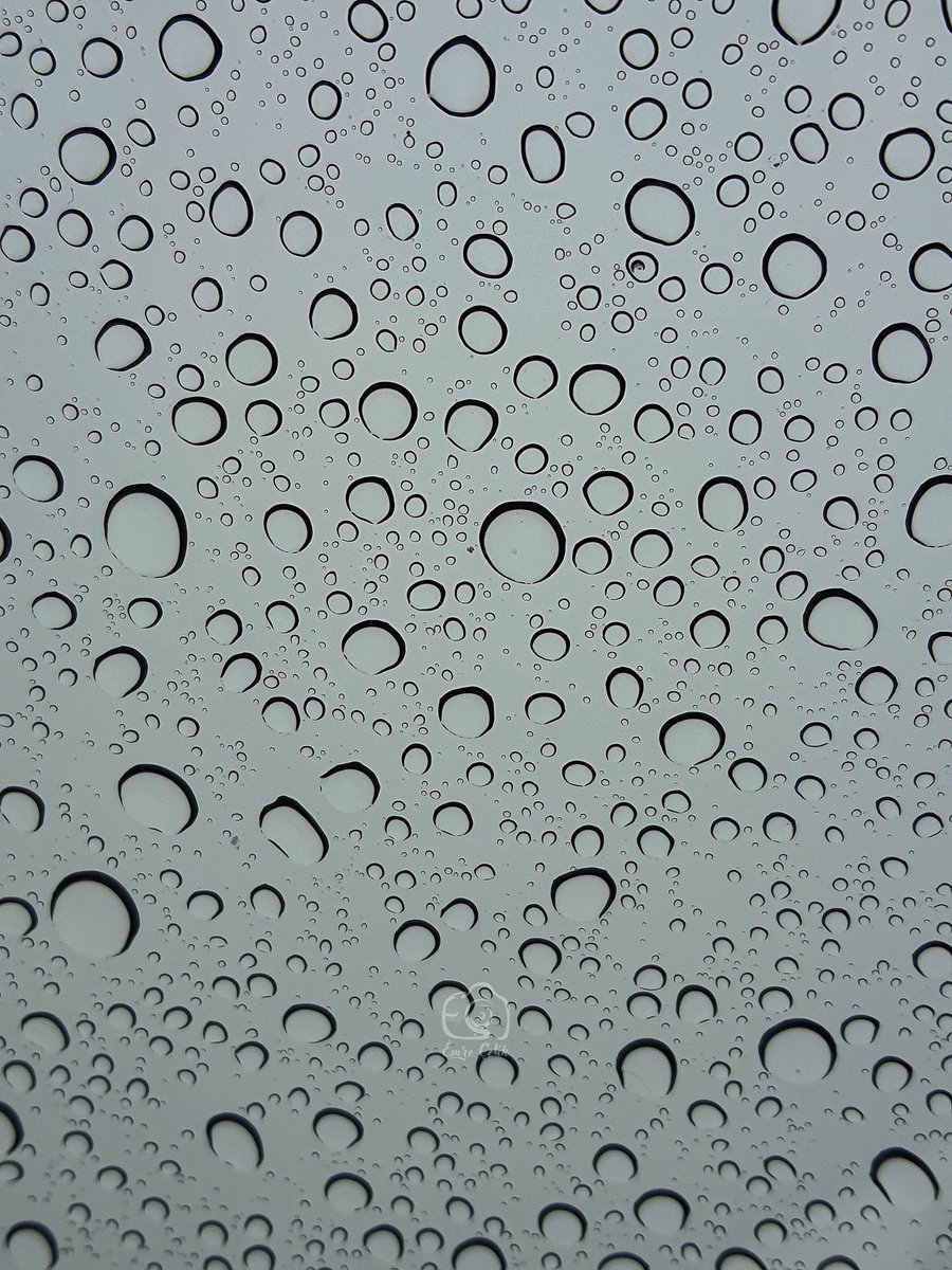 Fotografobjektf's tweet photo. Yağmurlu gun🌧🤗 https://t.co/YVVjVBdRs0