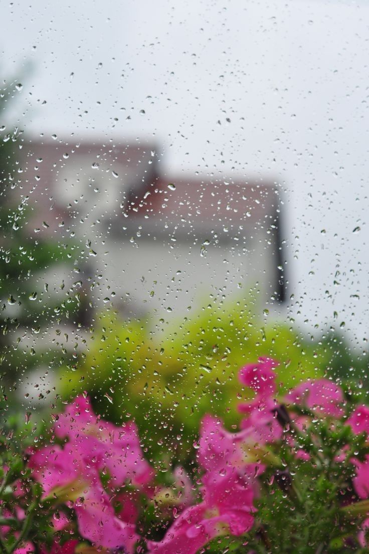 Утро дождь картинки. Дождливый летний день. Весенний дождь. Дождь летом. Дождливое летнее утро.