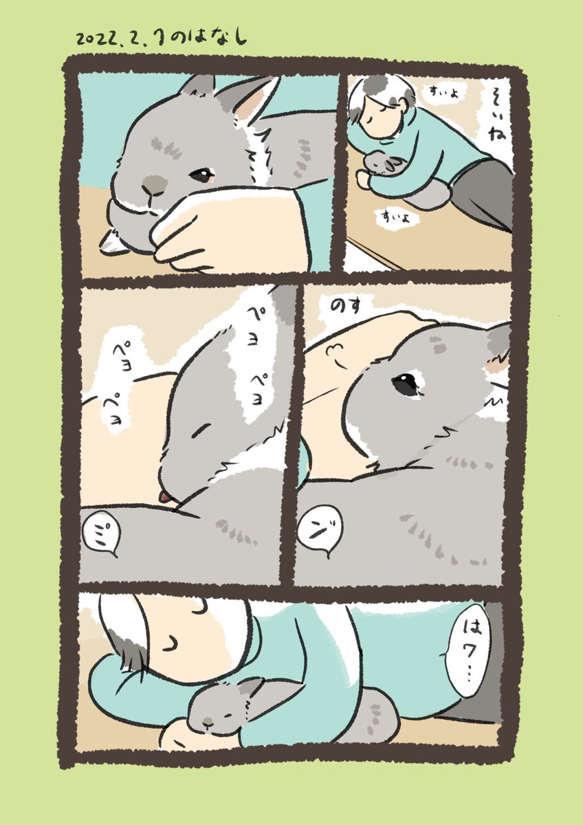 これは昨日のrabbit…
#うさぎのいる生活 