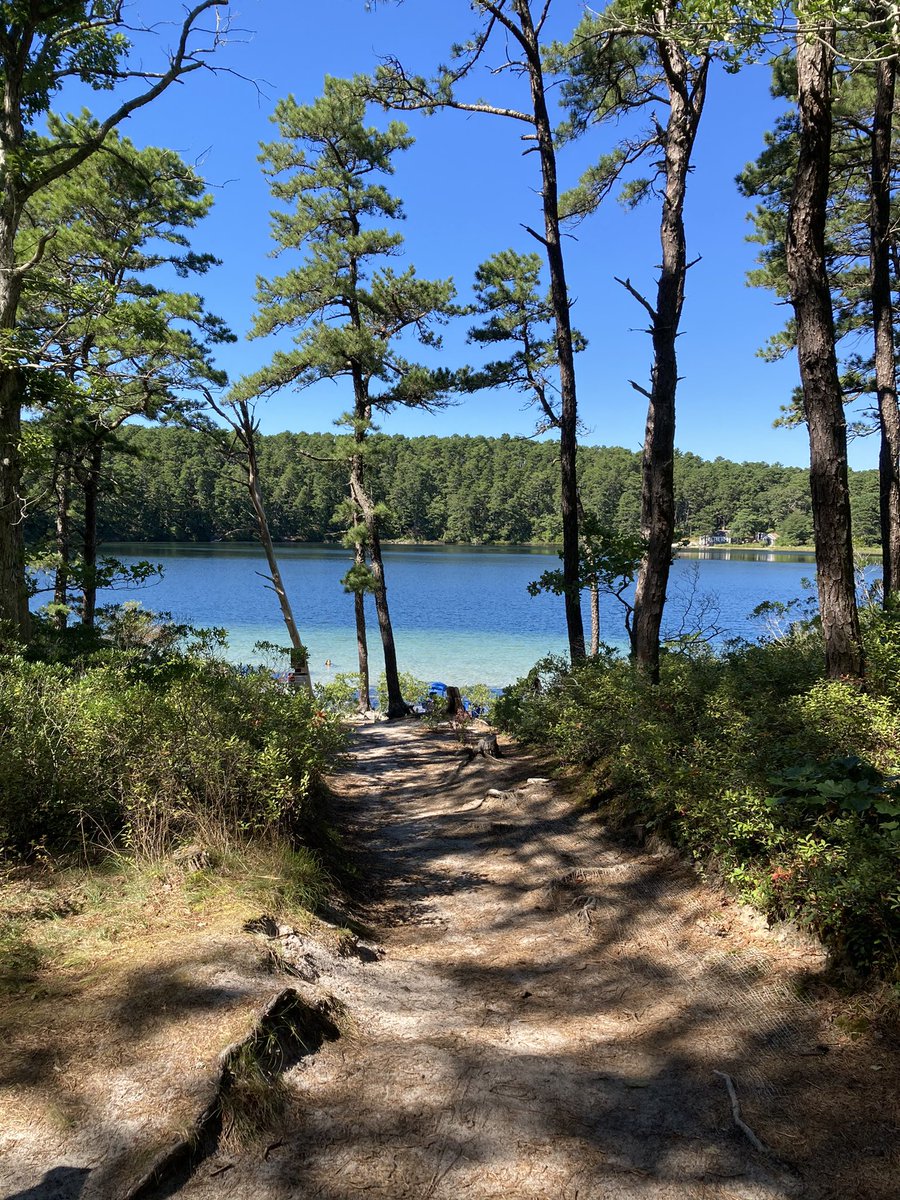 Chill Wind tweet media