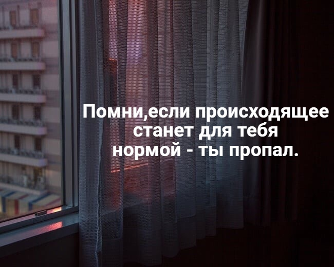 Андрей Шкибири-бап-па tweet media