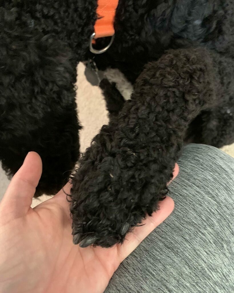 ranger9904's tweet photo. Morning hand holding https://t.co/9K0j1RjO1o