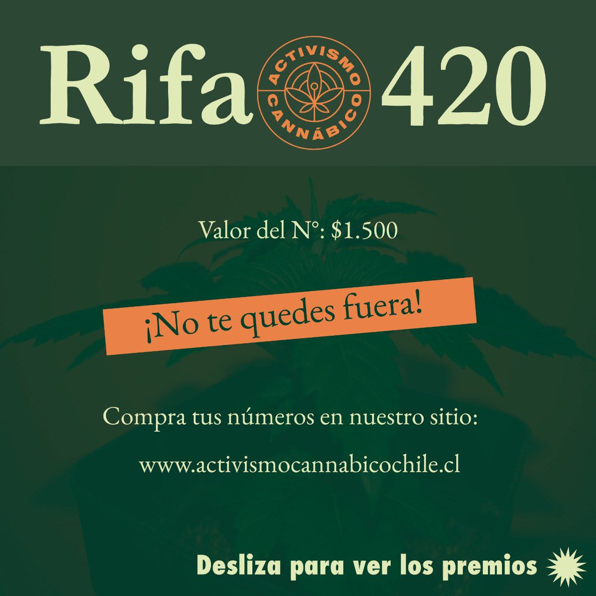 ACannabicoChile's tweet photo. Tenemos rifa!
No pierdan la oportunidad de hacerse con alguno de estos fantásticos premios y de paso ayudarnos a poder seguir ejecutando proyectos para nuestra comunidad!! 
Compren su número en el siguiente enlace https://t.co/vCnDGVwu9W

💚💚💚💚 https://t.co/kPBJUFrLEb