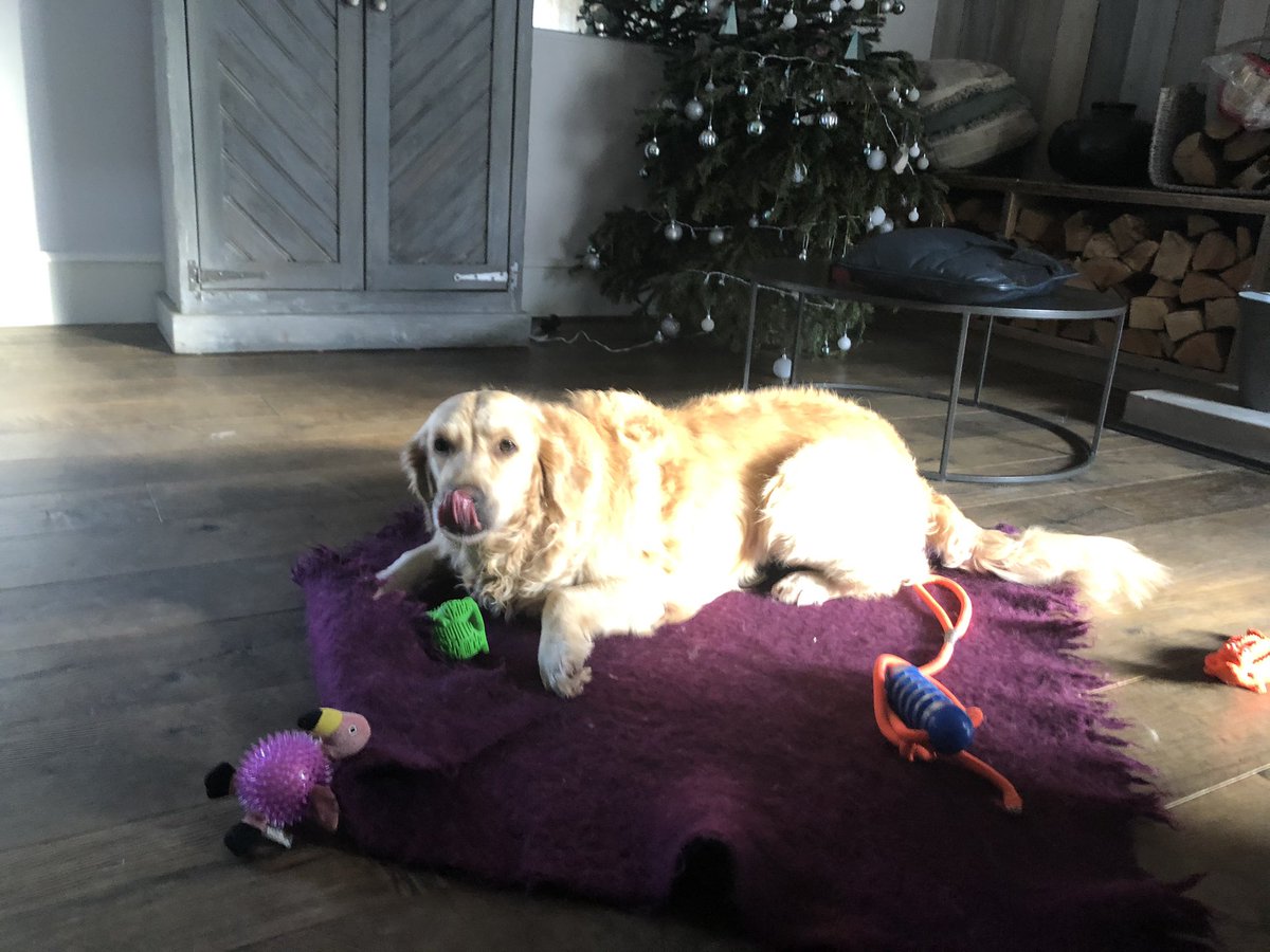 TTeever's tweet photo. @stew_thegolden Hi there ! Are you sharing your Bally ! https://t.co/Q6P7TzQ5Yb