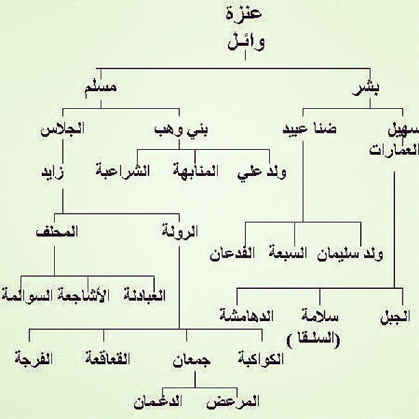 abna_wayil's tweet photo. تعداد وتفرعات شعوب و بطون قبائل عنزه ابناء وائل بن ربيعة

{ بشر }

( ضنا سهيل العمارات )
1- #الدهامشة
2- #السلقا
3- الجبل #الحبلان و #الصقور

(ضنا عبيد)
4- #الفدعان
5- #السبعة
6- #ولد_سليمان

{مسلم}

(الجلاس)
1- #الرولة 
2- #المحلف

(بني وهب)
3- #المنابهه
4- #ولد_علي
5- #الشراعبة https://t.co/51FPjcH6Wy
